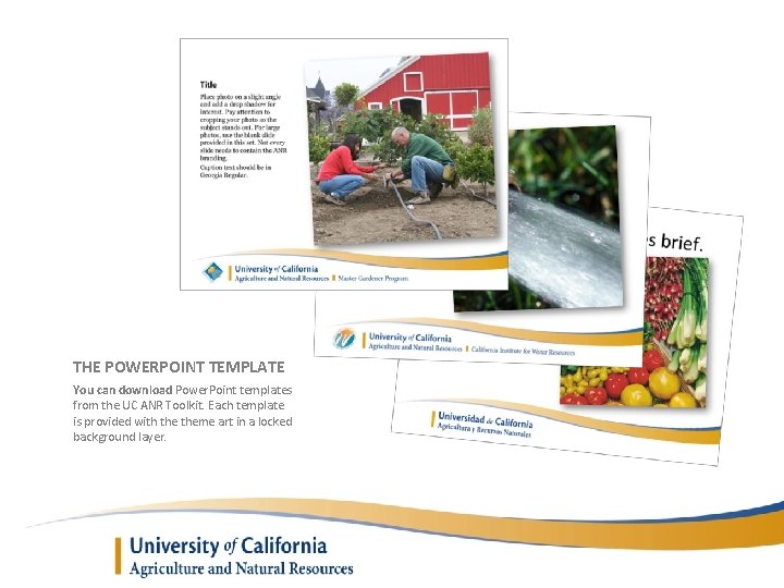 THE POWERPOINT TEMPLATE You can download Power. Point templates from the UC ANR Toolkit.
