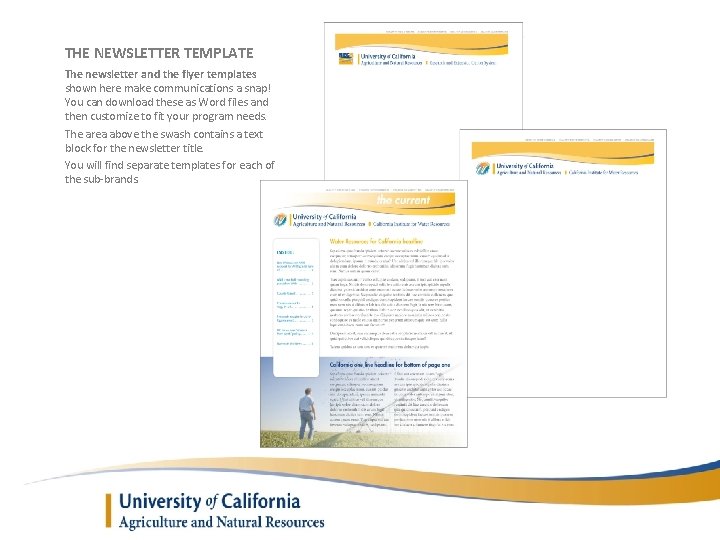 THE NEWSLETTER TEMPLATE The newsletter and the flyer templates shown here make communications a