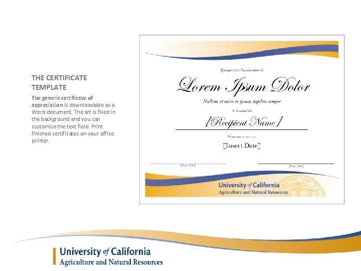 THE CERTIFICATE TEMPLATE The generic certificate of appreciation is downloadable as a Word document.