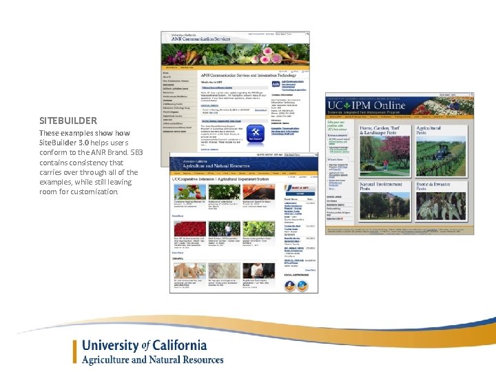 SITEBUILDER These examples show Site. Builder 3. 0 helps users conform to the ANR
