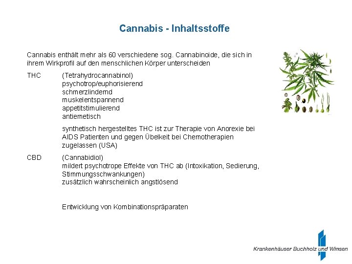 Cannabis - Inhaltsstoffe Cannabis enthält mehr als 60 verschiedene sog. Cannabinoide, die sich in