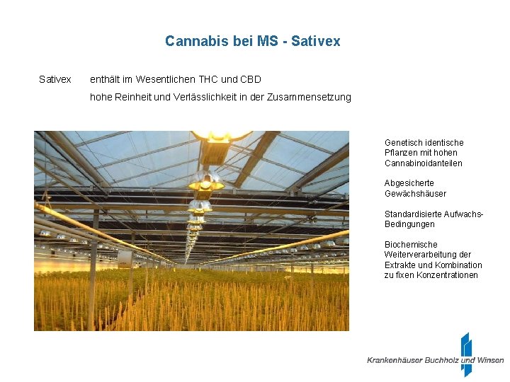 Cannabis bei MS - Sativex enthält im Wesentlichen THC und CBD hohe Reinheit und