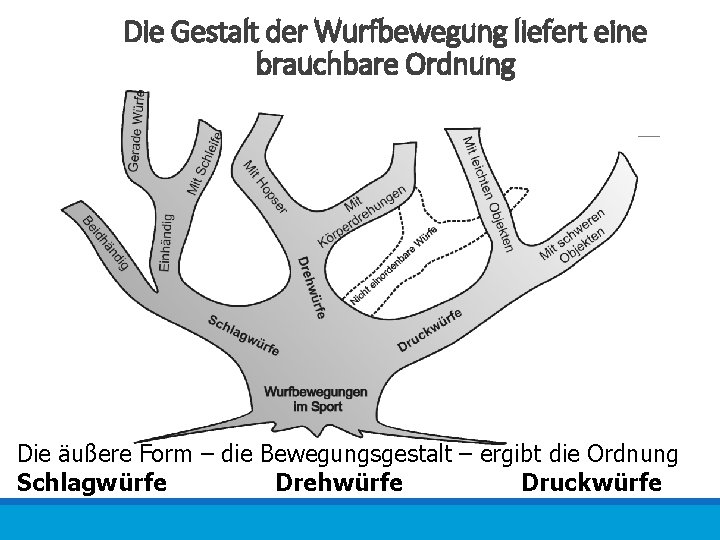 Die Gestalt der Wurfbewegung liefert eine brauchbare Ordnung Die äußere Form – die Bewegungsgestalt