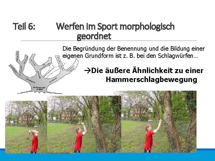 Teil 6: Werfen im Sport morphologisch geordnet Die Begründung der Benennung und die Bildung