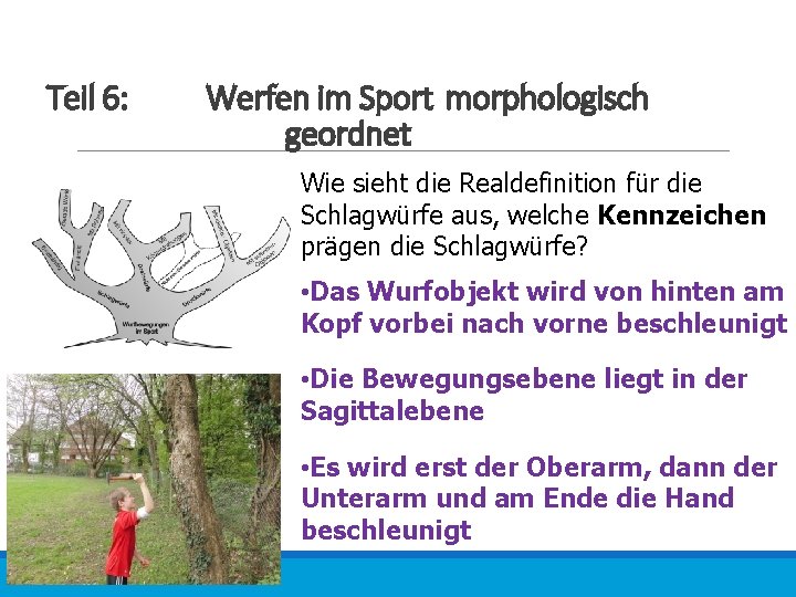 Teil 6: Werfen im Sport morphologisch geordnet Wie sieht die Realdefinition für die Schlagwürfe