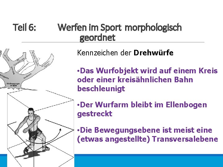 Teil 6: Werfen im Sport morphologisch geordnet Kennzeichen der Drehwürfe • Das Wurfobjekt wird