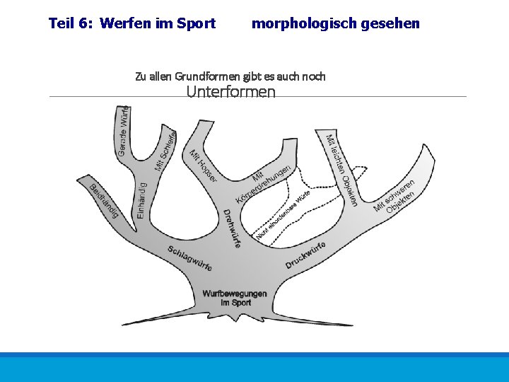 Teil 6: Werfen im Sport morphologisch gesehen Zu allen Grundformen gibt es auch noch