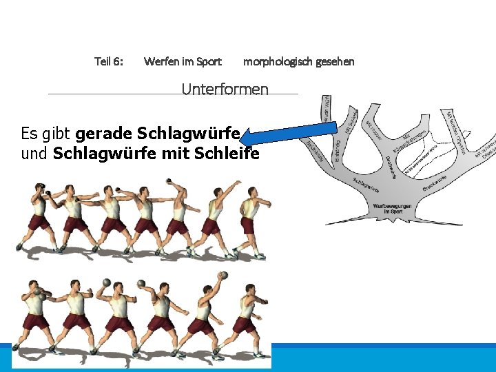 Teil 6: Werfen im Sport morphologisch gesehen Unterformen Es gibt gerade Schlagwürfe und Schlagwürfe