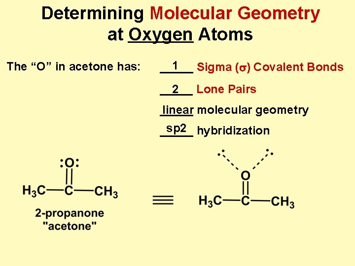 Determining Molecular Geometry at Oxygen Atoms The “O” in acetone has: 1 _____ Sigma