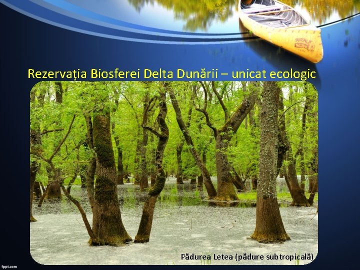 Rezervația Biosferei Delta Dunării – unicat ecologic Pădurea Letea (pădure subtropicală) 