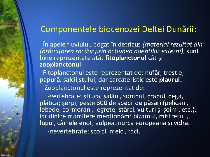 Componentele biocenozei Deltei Dunării: În apele fluviului, bogat în detricus (material rezultat din fărâmițarea