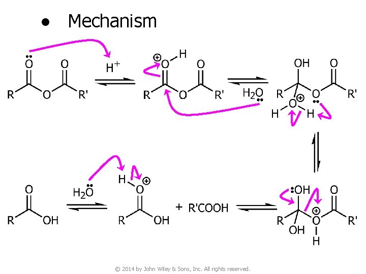 ● Mechanism © 2014 by John Wiley & Sons, Inc. All rights reserved. 