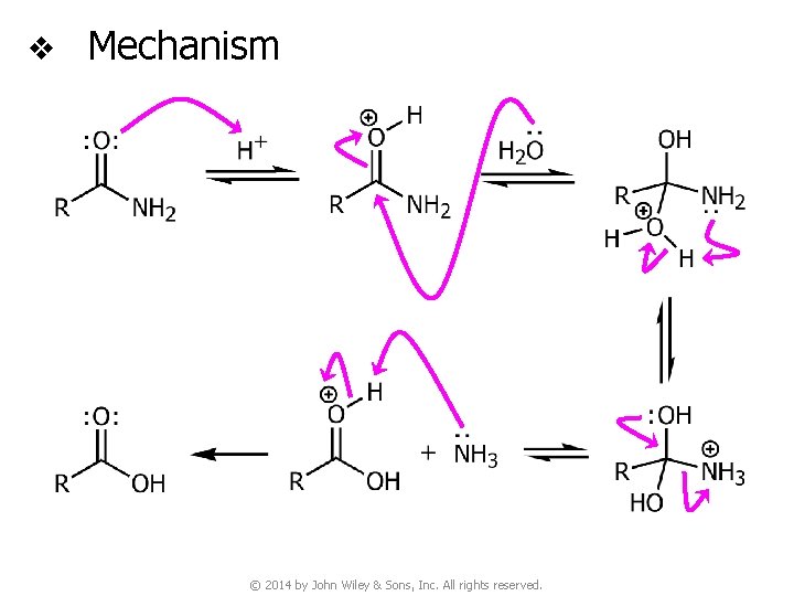 v Mechanism © 2014 by John Wiley & Sons, Inc. All rights reserved. 