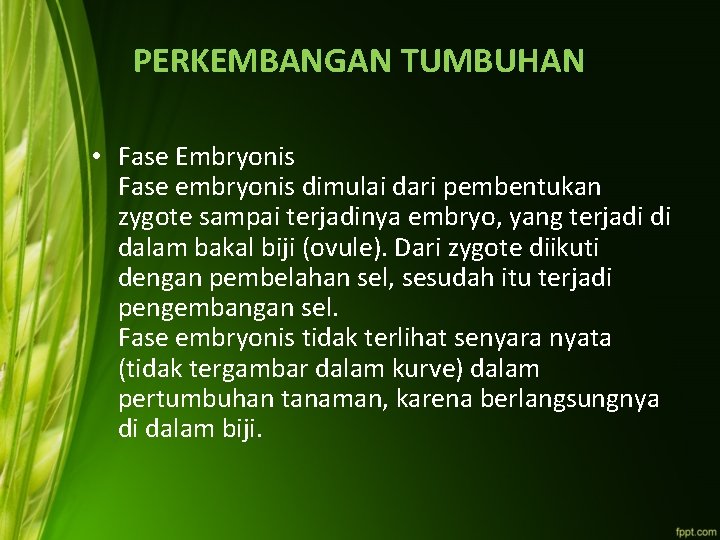 PERKEMBANGAN TUMBUHAN • Fase Embryonis Fase embryonis dimulai dari pembentukan zygote sampai terjadinya embryo,