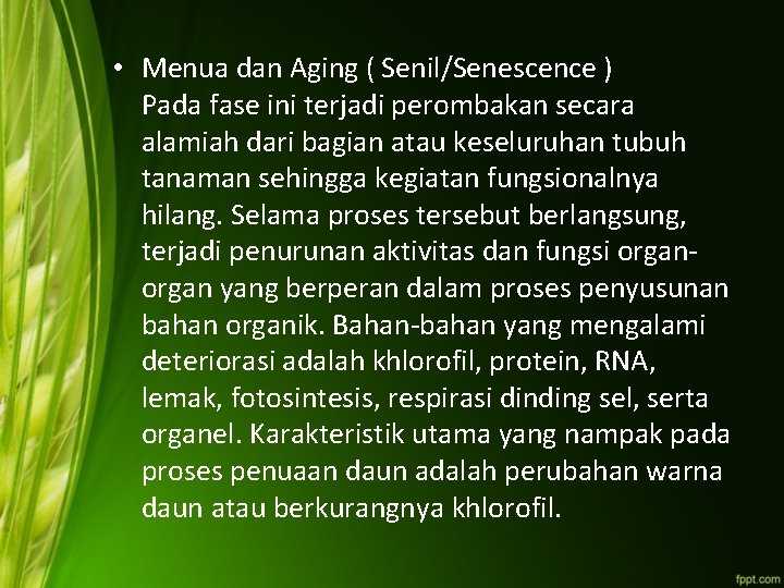  • Menua dan Aging ( Senil/Senescence ) Pada fase ini terjadi perombakan secara