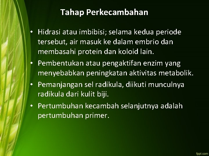 Tahap Perkecambahan • Hidrasi atau imbibisi; selama kedua periode tersebut, air masuk ke dalam