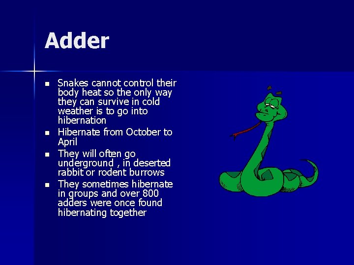 Adder n n Snakes cannot control their body heat so the only way they