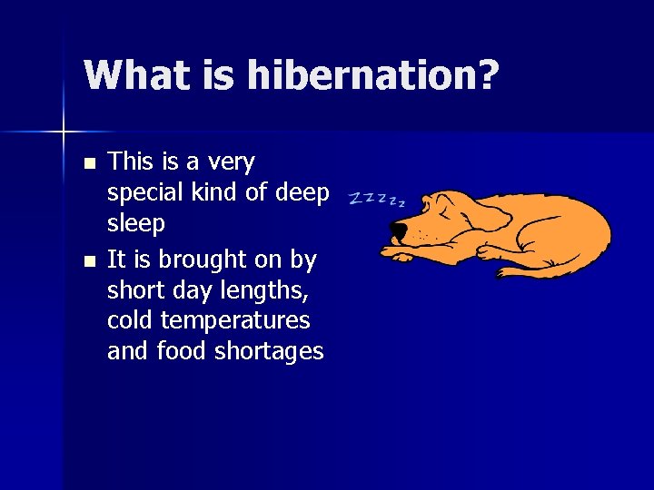 What is hibernation? n n This is a very special kind of deep sleep