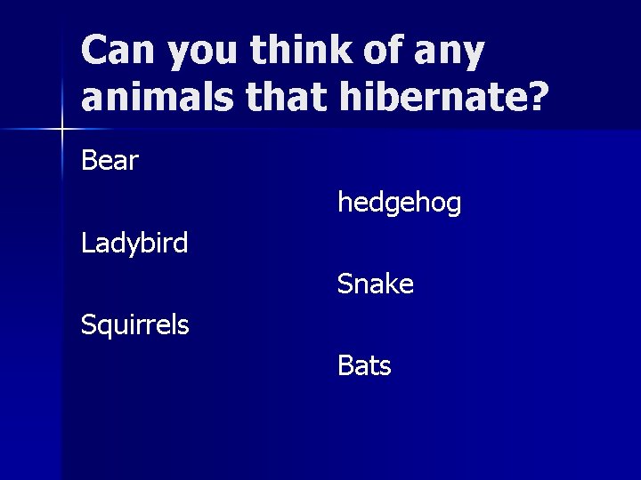 Can you think of any animals that hibernate? Bear hedgehog Ladybird Snake Squirrels Bats