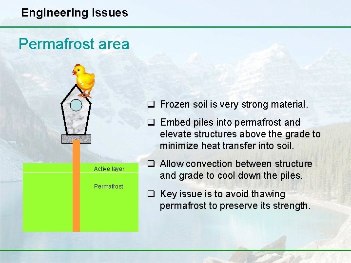Engineering Issues Permafrost area q Frozen soil is very strong material. q Embed piles