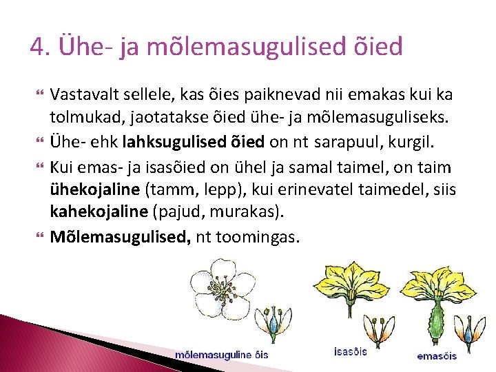 4. Ühe- ja mõlemasugulised õied Vastavalt sellele, kas õies paiknevad nii emakas kui ka