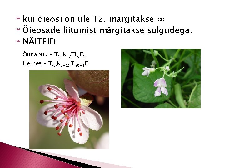  kui õieosi on üle 12, märgitakse ∞ Õieosade liitumist märgitakse sulgudega. NÄITEID: Õunapuu