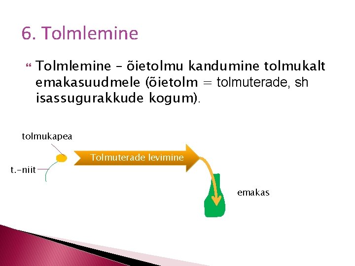 6. Tolmlemine – õietolmu kandumine tolmukalt emakasuudmele (õietolm = tolmuterade, sh isassugurakkude kogum). tolmukapea