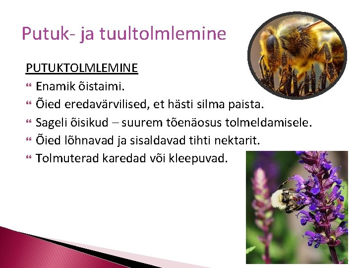 Putuk- ja tuultolmlemine PUTUKTOLMLEMINE Enamik õistaimi. Õied eredavärvilised, et hästi silma paista. Sageli õisikud