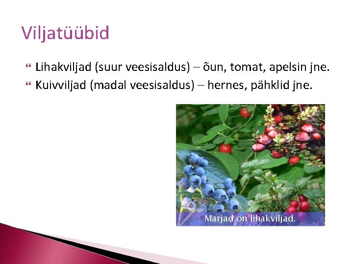 Viljatüübid Lihakviljad (suur veesisaldus) – õun, tomat, apelsin jne. Kuivviljad (madal veesisaldus) – hernes,