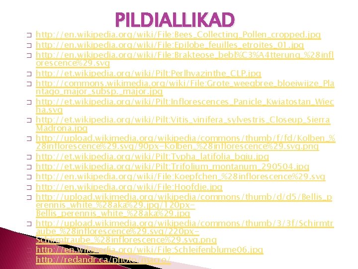 � � � � PILDIALLIKAD http: //en. wikipedia. org/wiki/File: Bees_Collecting_Pollen_cropped. jpg http: //en. wikipedia.