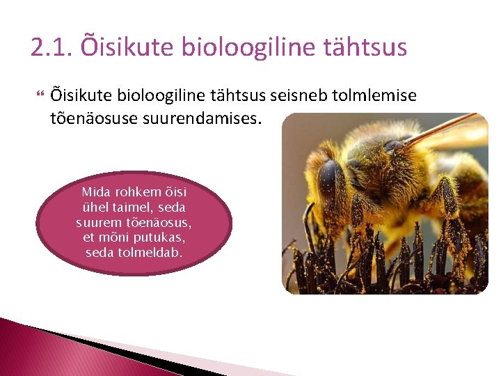 2. 1. Õisikute bioloogiline tähtsus seisneb tolmlemise tõenäosuse suurendamises. Mida rohkem õisi ühel taimel,
