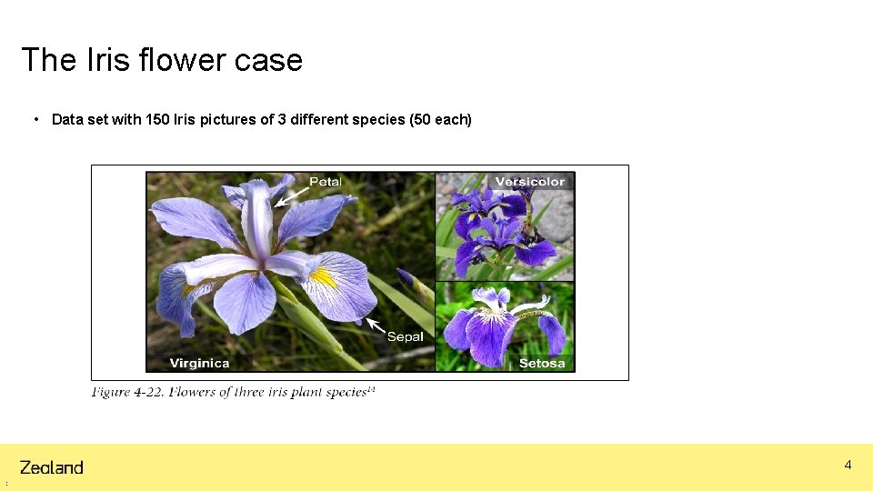 The Iris flower case • Data set with 150 Iris pictures of 3 different