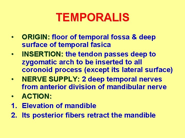 TEMPORALIS • ORIGIN: floor of temporal fossa & deep surface of temporal fasica •