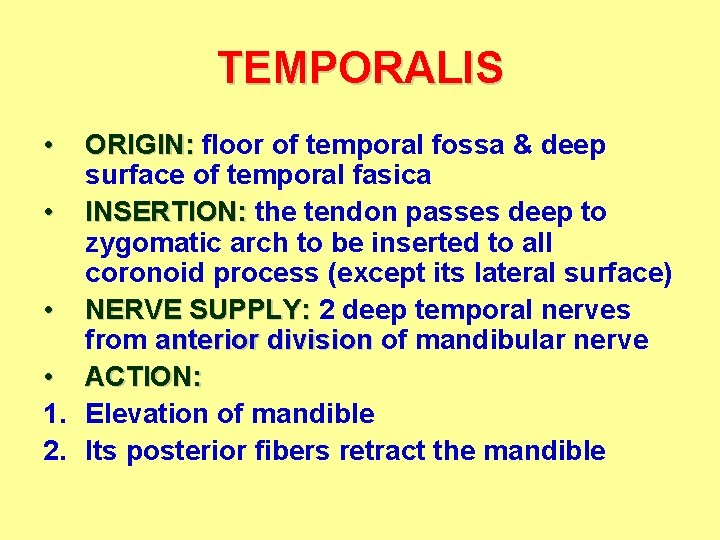 TEMPORALIS • ORIGIN: floor of temporal fossa & deep surface of temporal fasica • TEMPORALIS • ORIGIN: floor of temporal fossa & deep surface of temporal fasica •