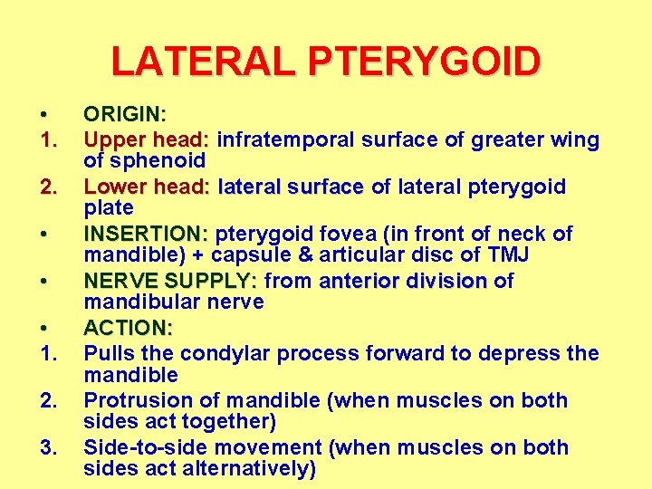 LATERAL PTERYGOID • 1. 2. • • • 1. 2. 3. ORIGIN: Upper head: LATERAL PTERYGOID • 1. 2. • • • 1. 2. 3. ORIGIN: Upper head: