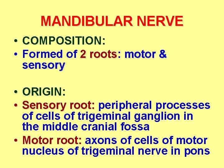 MANDIBULAR NERVE • COMPOSITION: • Formed of 2 roots: roots motor & sensory • MANDIBULAR NERVE • COMPOSITION: • Formed of 2 roots: roots motor & sensory •
