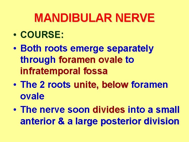 MANDIBULAR NERVE • COURSE: • Both roots emerge separately through foramen ovale to infratemporal MANDIBULAR NERVE • COURSE: • Both roots emerge separately through foramen ovale to infratemporal