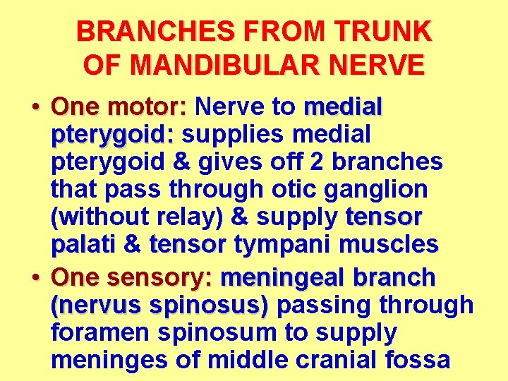 BRANCHES FROM TRUNK OF MANDIBULAR NERVE • One motor: Nerve to medial pterygoid: supplies BRANCHES FROM TRUNK OF MANDIBULAR NERVE • One motor: Nerve to medial pterygoid: supplies