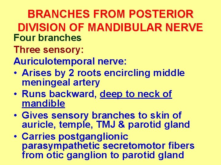 BRANCHES FROM POSTERIOR DIVISION OF MANDIBULAR NERVE Four branches Three sensory: Auriculotemporal nerve: •
