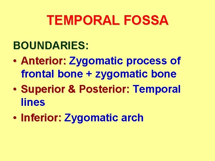 TEMPORAL FOSSA BOUNDARIES: • Anterior: Zygomatic process of frontal bone + zygomatic bone •