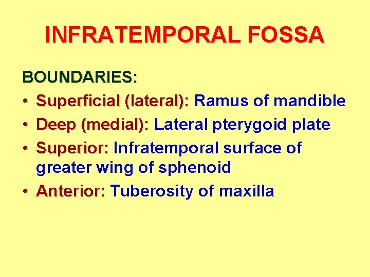 INFRATEMPORAL FOSSA BOUNDARIES: • Superficial (lateral): Ramus of mandible • Deep (medial): Lateral pterygoid INFRATEMPORAL FOSSA BOUNDARIES: • Superficial (lateral): Ramus of mandible • Deep (medial): Lateral pterygoid