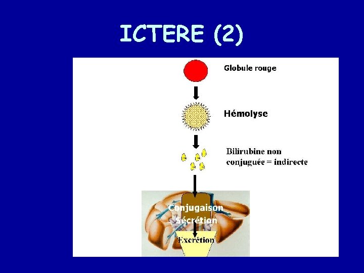 ICTERE (2) 