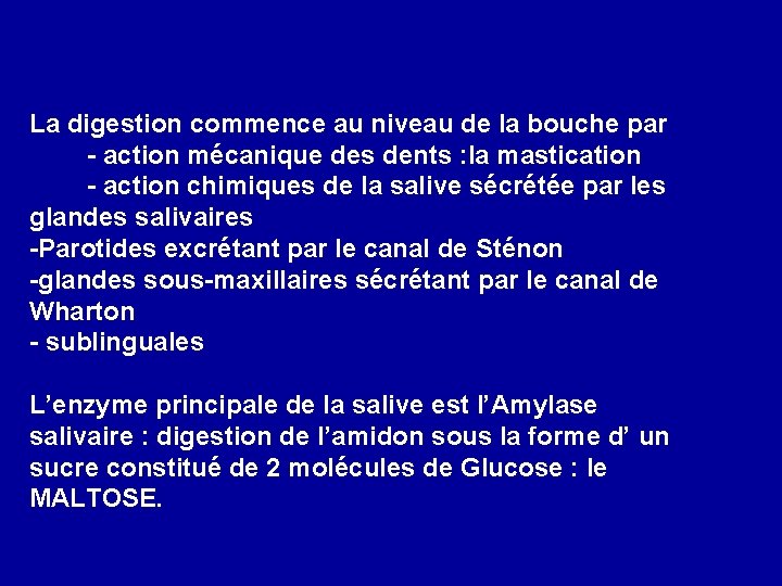 La digestion commence au niveau de la bouche par - action mécanique des dents