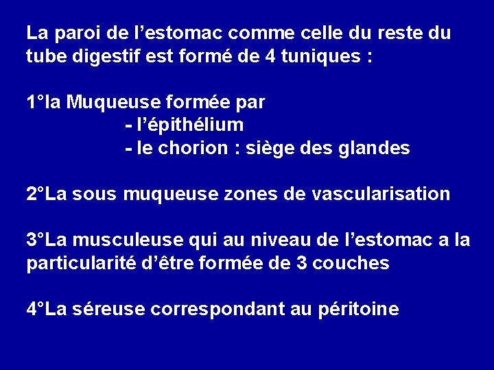 La paroi de l’estomac comme celle du reste du tube digestif est formé de