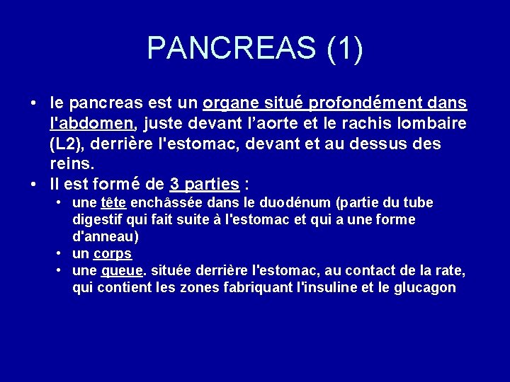 PANCREAS (1) • le pancreas est un organe situé profondément dans l'abdomen, juste devant
