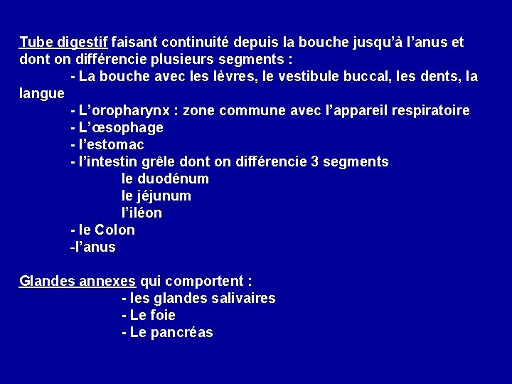 Tube digestif faisant continuité depuis la bouche jusqu’à l’anus et dont on différencie plusieurs