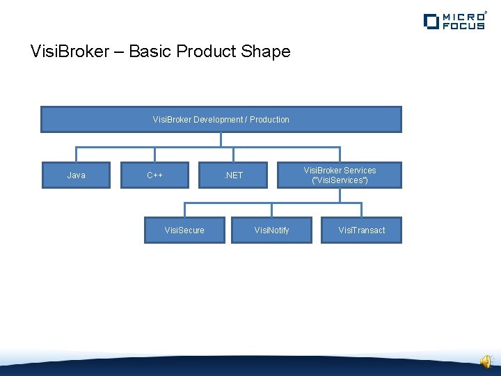 Visi. Broker – Basic Product Shape Visi. Broker Development / Production Java C++ Visi.