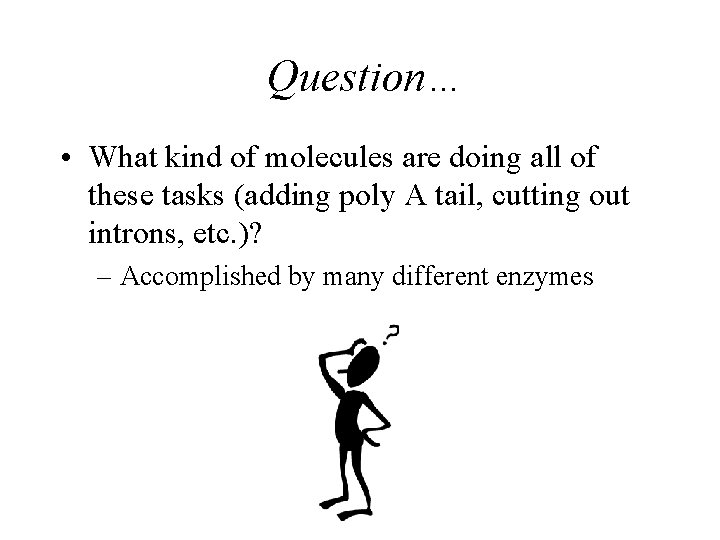 Question… • What kind of molecules are doing all of these tasks (adding poly