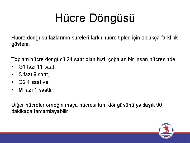 Hücre Döngüsü Hücre döngüsü fazlarının süreleri farklı hücre tipleri için oldukça farklılık gösterir. Toplam