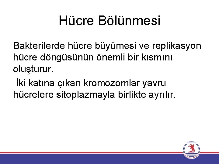 Hücre Bölünmesi Bakterilerde hücre büyümesi ve replikasyon hücre döngüsünün önemli bir kısmını oluşturur. İki